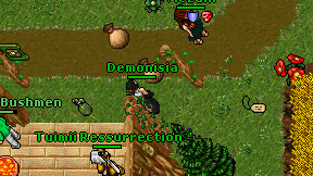 Demonisia on screen