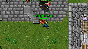 Anjin San on screen