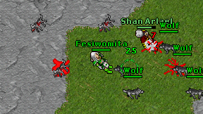 Fesiwomita on screen
