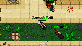 Japcok Pall on screen