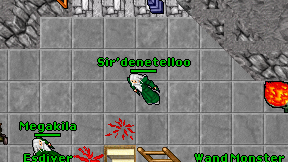 Sir'denetelloo on screen
