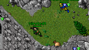 Nirstedt on screen