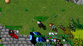 Ademar on screen