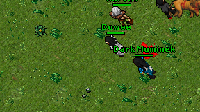 Dowee on screen