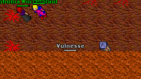 Vulnesse on screen