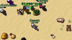 Cunok on screen