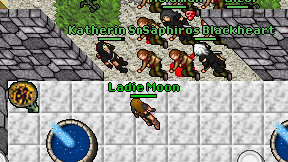 Ladie Moon on screen