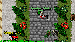 Senior Oinky on screen