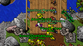 Hunting Werner on screen