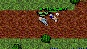 Sundau on screen