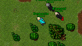 Demazix on screen