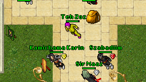 Teh Zoz on screen