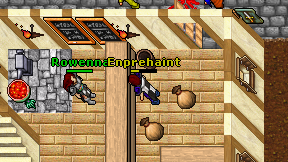 Enprehaint on screen