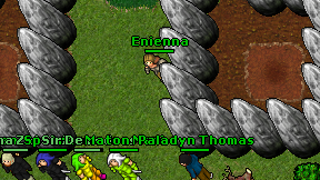 Enienna on screen