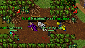 Limpiz on screen