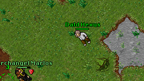 Dald Hexus on screen