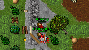 Allicry on screen