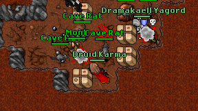 Druid Karma on screen