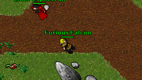 Furious Falcon on screen