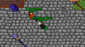 Melgardon on screen