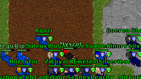Myszol on screen