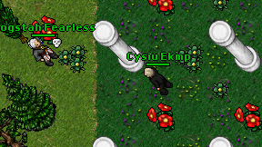 Cysiu Ekmp on screen