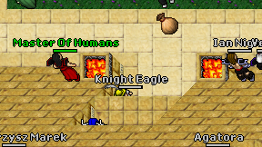 Knight Eagle on screen