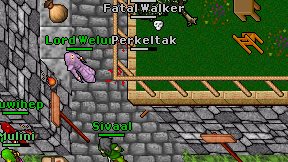 Perkeltak on screen