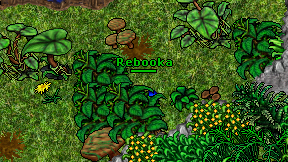 Rebooka on screen
