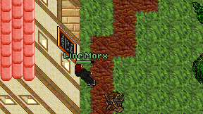 Line Morx on screen