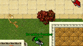 Drakko Pombo on screen