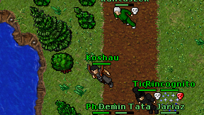 Koshau on screen