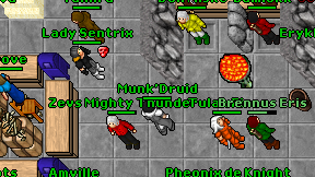 Munk'Druid on screen