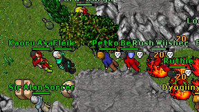 Fleik on screen