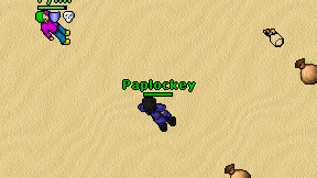 Paplockey on screen