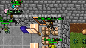 Blinded druid on screen
