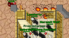 Landarty on screen