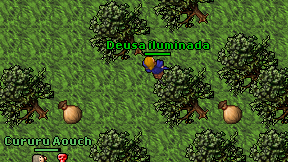 Deusa iluminada on screen