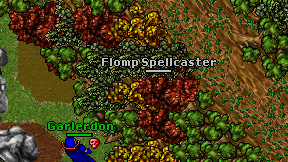 Flomp Spellcaster on screen