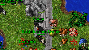Vinila on screen