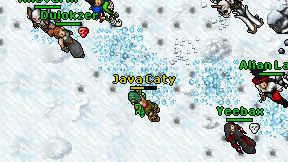 Java Caty on screen