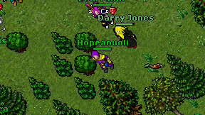 Hopeanuoli on screen