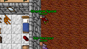 Shadow Spow on screen