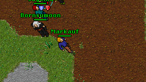 Markauf on screen
