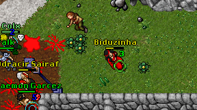 Biduzinha on screen