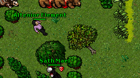 Altenior Element on screen