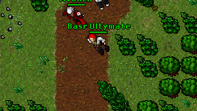 Basr Ultymate on screen