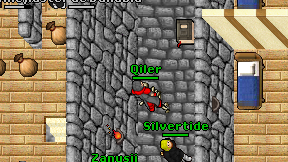 Qiler on screen