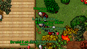 Lady Alaida on screen