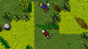 Torn Talon on screen
